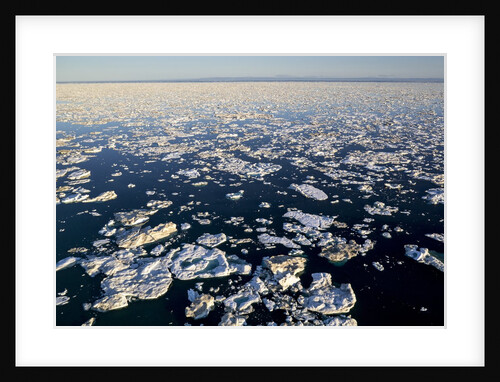 Sea Ice, Hudson Bay, Nunavut, Canada by Anonymous