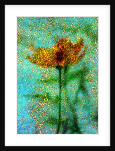 Yellow Flower. by Anonymous