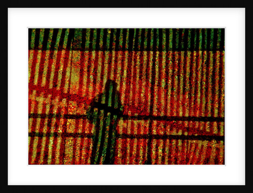 Stripped Window. by Anonymous