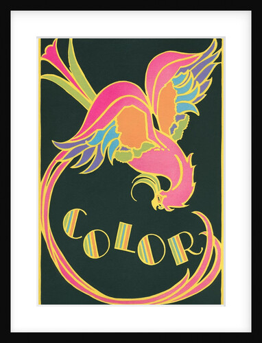 Color, Fantastic Bird by Anonymous