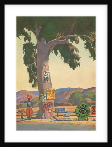 Roadside Eucalyptus, Signs by Anonymous