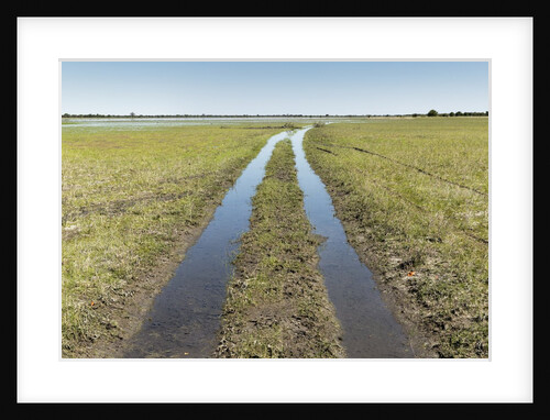 Muddy Safari Track, Botswana by Anonymous