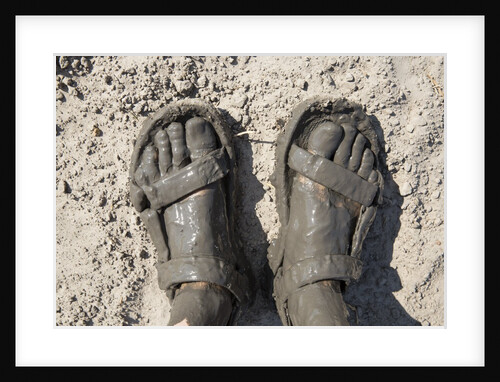Mud-covered Feet, Chobe National Park, Botswana by Anonymous