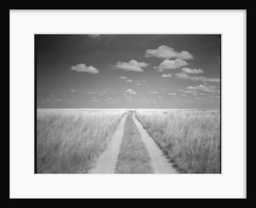 Makgadikgadi Pans National Park, Botswana by Anonymous