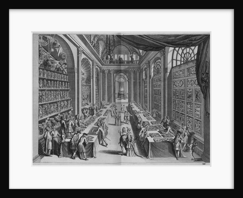 Natural History Collection by Levinus Vincent