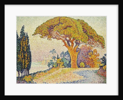 Pine Trees at Bertaud, Saint- Tropez (Provence) by Paul Signac