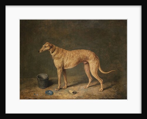 A Deerhound in a Stable Interior by James Barenger