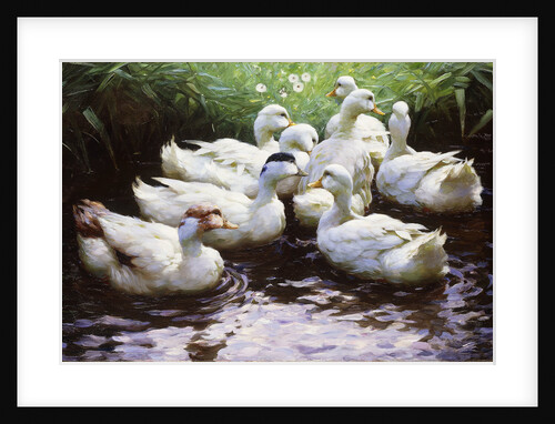 Ashore (Ducks) by Alexander Koester