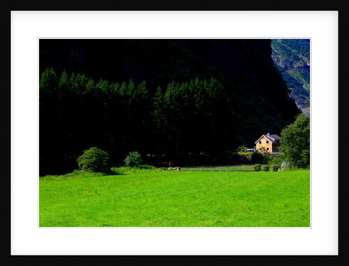 Myrdal. Biking down to Flam on the Sognefjord. by Anonymous