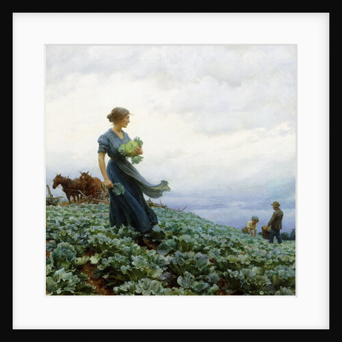 The Cabbage Field by Charles Courtney Curran
