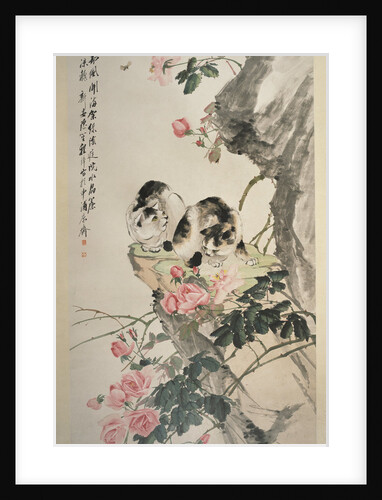 Cats on a Rock with Roses by Cheng Zhang
