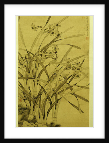 Narcissus by Ma Shouzhen