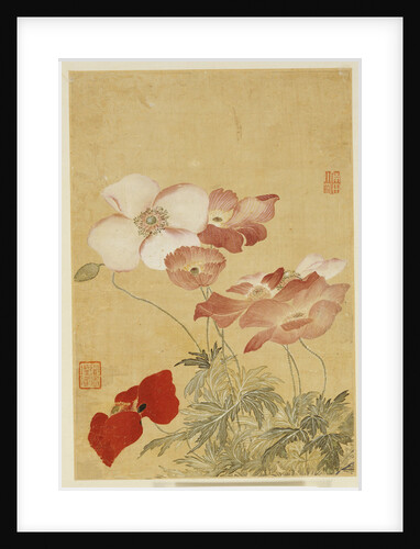Poppies by Yun Shouping