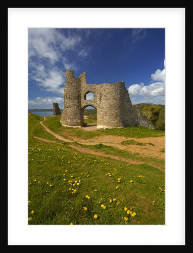 A View of Pennard Castle by Anonymous