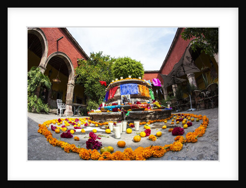 Flowers a Laid out for Day of the Dead Celebration by Anonymous