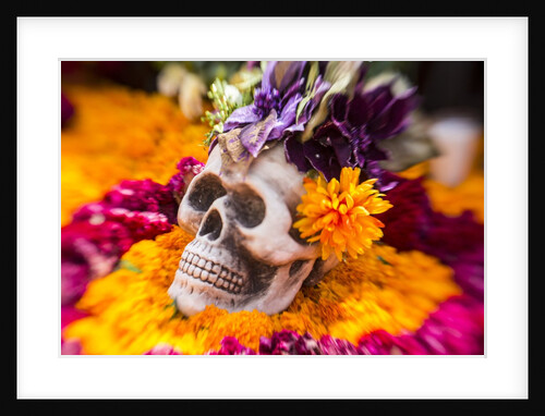Flowers and Skull Laid out for Day of the Dead Celebration by Anonymous