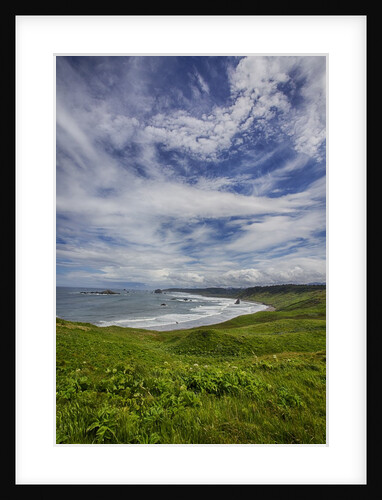 Coastline of Southern Oregon state by Anonymous