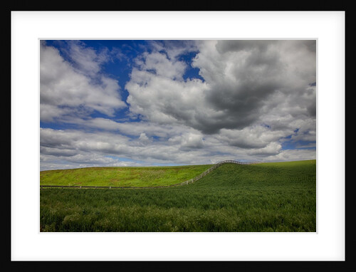 Long fence running through the Wheat field by Anonymous