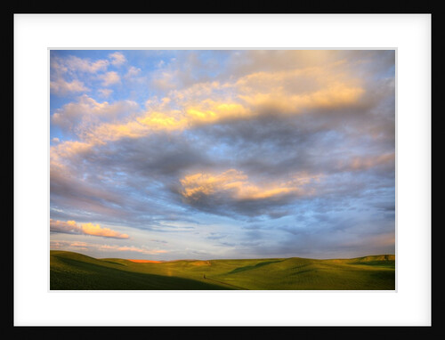 Rolling Hills of Green Spring Wheat and evening bright Clouds by Anonymous