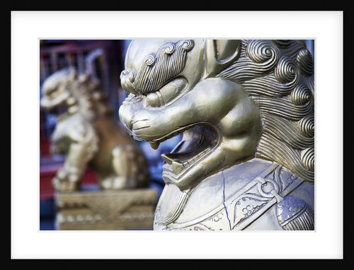 Statue Detail Summer Palace by Anonymous