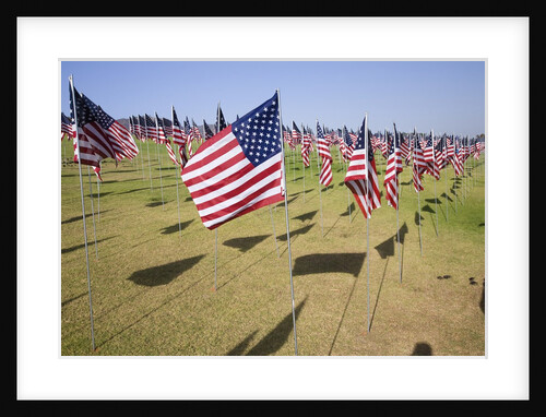 US Flags for 9/11 Memorial by Anonymous