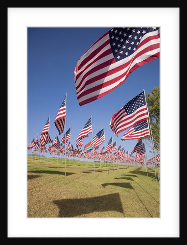 US Flags for 9/11 Memorial by Anonymous