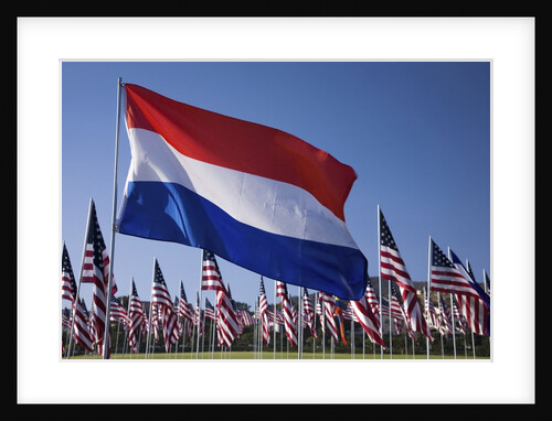 US and Dutch Flag by Anonymous