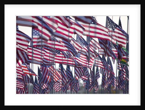 3000 US Flags for 9/11 by Anonymous