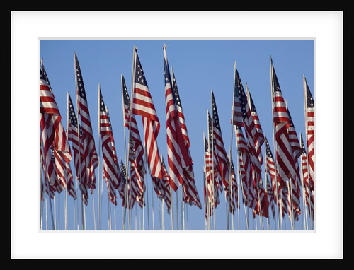 3000 US Flags for 9/11 by Anonymous