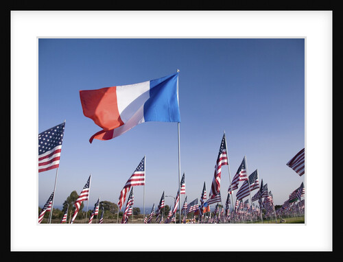 US and French Flag by Anonymous