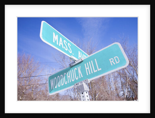 Mass Avenue Road Sign by Anonymous