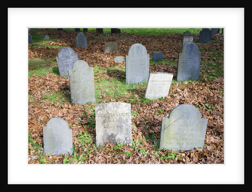 New England Cemetery by Anonymous
