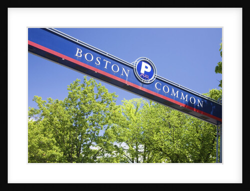 Boston Common Street Sign, Boston, MA by Anonymous