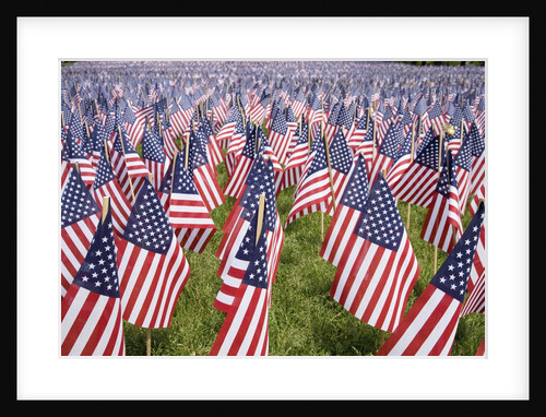 20,000 American Flags for Memorial Day, Boston Commons, Boston, MA by Anonymous