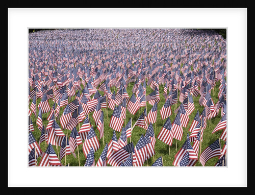 20,000 American Flags for Memorial Day, Boston Commons, Boston, MA by Anonymous