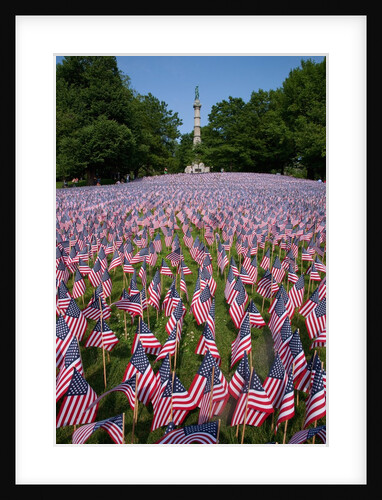 20,000 American Flags, Boston Common, Memorial Day, 2012, Boston, MA by Anonymous