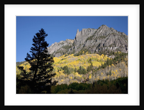 San Juan Mountains and autumn color behind Telluride, CO off mining road by Anonymous