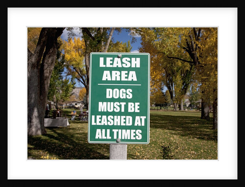 Dogs must be leashed sign in front of park in Ridgeway Colorado by Anonymous