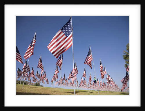 US Flags for 9/11 Memorial by Anonymous