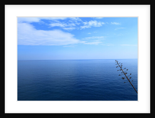 Baia de Tossa by Anonymous