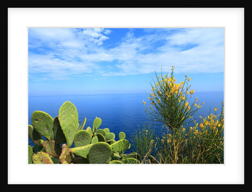 Baia de Tossa by Anonymous