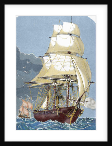 Clipper. 19th century. Colored engraving. by Anonymous