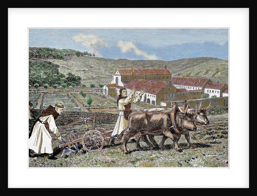 Monks ploughing the land with oxen. Germany. by Anonymous