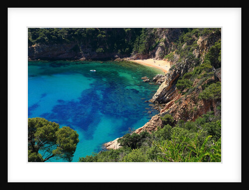 View of the coast from the panoramic road to Sant Feliu de Guixols by Anonymous