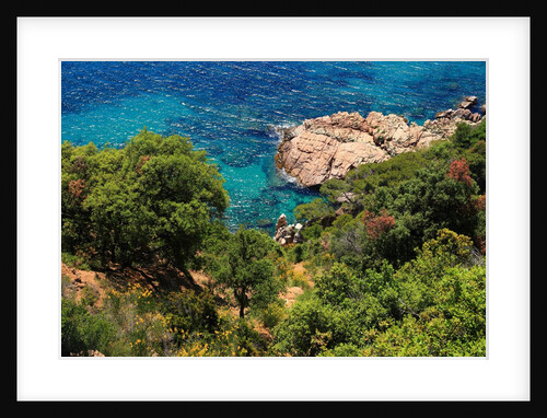 View of the coast from the panoramic road to Sant Feliu de Guixols by Anonymous