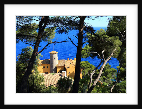 The coast between Llafranc and Tamariu by Anonymous