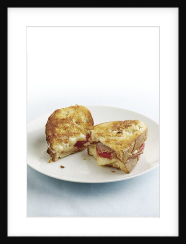 Grilled cheese with prosciutto by Anonymous
