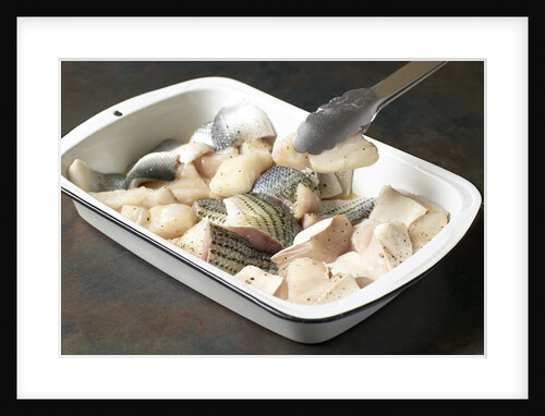 Fish fillets by Anonymous