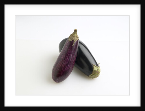Eggplant by Anonymous