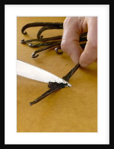 Vanilla beans by Anonymous